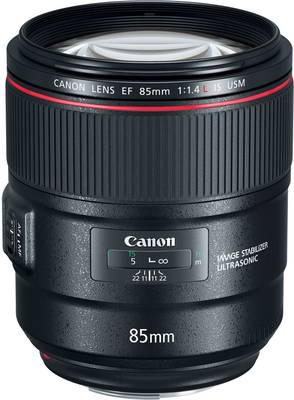 Canon EF 85mm f/1.4L IS  Lens