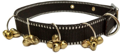 Sollar's Dog Everyday Collar(, Black