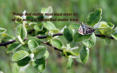 

Akhuratha aquote-quotes-importance-mercy Wall Poster Paper Print(12 inch X 18 inch, Rolled)