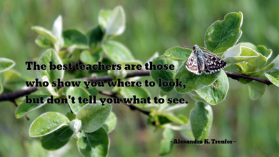 

Akhuratha aquote-quotes-teacher Wall Poster Paper Print(12 inch X 18 inch, Rolled)