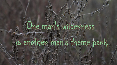 

Akhuratha a-quote-quotes-wilderness-park Wall Poster Paper Print(12 inch X 18 inch, Rolled)
