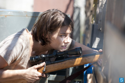 

TV Show The Walking Dead Lauren Cohan Maggie Greene HD Wall Poster Paper Print(12 inch X 18 inch, Rolled)