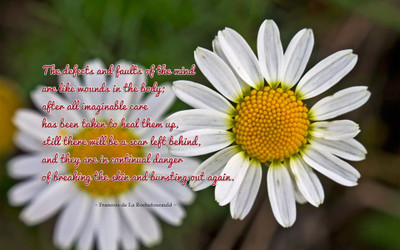 

Akhuratha aquote-quotes-body-mind Wall Poster Paper Print(12 inch X 18 inch, Rolled)