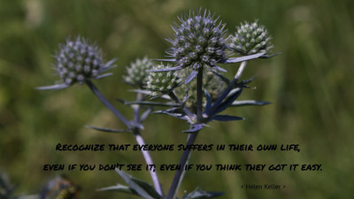 

Akhuratha aquote-quotes-suffering Wall Poster Paper Print(12 inch X 18 inch, Rolled)