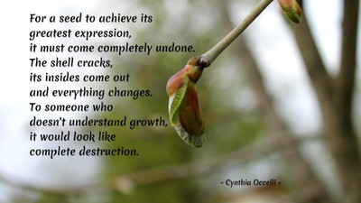 

Akhuratha aquote-quotes-greatness-change-expression-growth Wall Poster Paper Print(12 inch X 18 inch, Rolled)