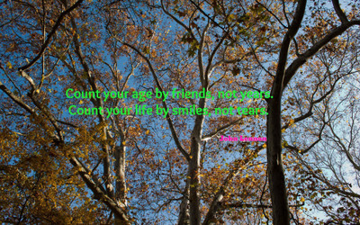 

Akhuratha aquote-quotes-friend-age-smile-tear Wall Poster Paper Print(12 inch X 18 inch, Rolled)