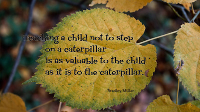 

Akhuratha a-quote-quotes-knowledge-caterpillar-teaching Wall Poster Paper Print(12 inch X 18 inch, Rolled)