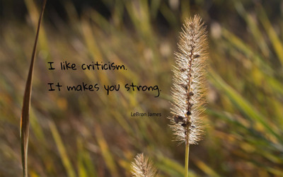 

Akhuratha a-quote-quotes-criticism Wall Poster Paper Print(12 inch X 18 inch, Rolled)