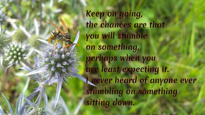 

Akhuratha aquote-quotes-chance-expectance Wall Poster Paper Print(12 inch X 18 inch, Rolled)