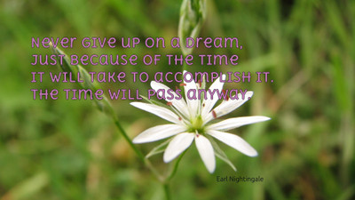 

Akhuratha aquote-quotes-dream-time Wall Poster Paper Print(12 inch X 18 inch, Rolled)