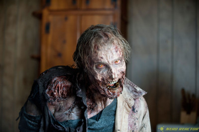 

TV Show The Walking Dead Zombie HD Wall Poster Paper Print(12 inch X 18 inch, Rolled)