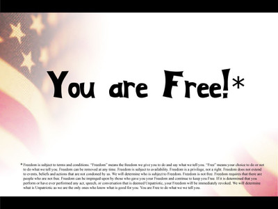 

Akhuratha politics-freedom-quotes Wall Poster Paper Print(12 inch X 18 inch, Rolled)