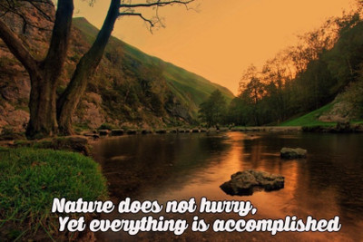 

Akhuratha Wall Poster -nature-does-not-hurry-kyryhzgb Paper Print(18 inch X 12 inch, Rolled)
