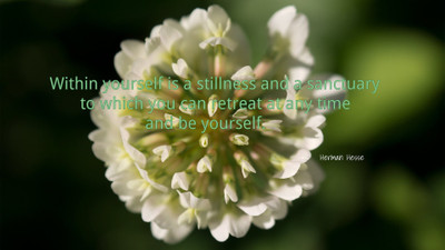 

Akhuratha a-quote-quotes-soul Wall Poster Paper Print(12 inch X 18 inch, Rolled)