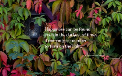 

Akhuratha aquote-quotes-time-light-dark Wall Poster Paper Print(12 inch X 18 inch, Rolled)