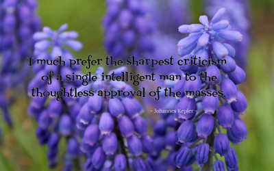 

Akhuratha aquote-quotes-criticism-intelligence Wall Poster Paper Print(12 inch X 18 inch, Rolled)