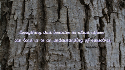 

Akhuratha a-quote-quotes-understanding Wall Poster Paper Print(12 inch X 18 inch, Rolled)
