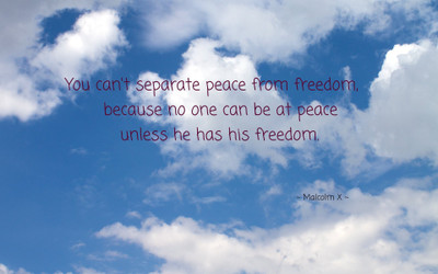 

Akhuratha aquote-quotes-peace-freedom Wall Poster Paper Print(12 inch X 18 inch, Rolled)