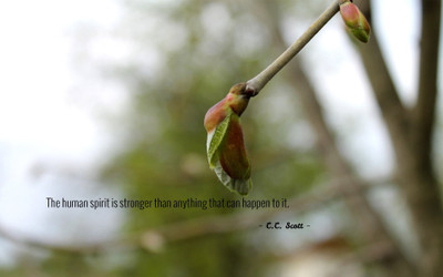 

Akhuratha aquote-quotes-spirit Wall Poster Paper Print(12 inch X 18 inch, Rolled)