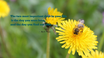 

Akhuratha aquote-quotes-importance Wall Poster Paper Print(12 inch X 18 inch, Rolled)