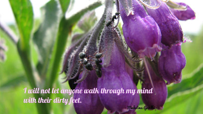 

Akhuratha aquote-quotes-mind Wall Poster Paper Print(12 inch X 18 inch, Rolled)