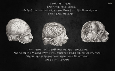 

Akhuratha afear-brain Wall Poster Paper Print(12 inch X 18 inch, Rolled)