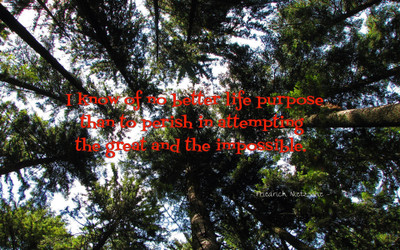 

Akhuratha a-quote-quotes-greatness-purpose Wall Poster Paper Print(12 inch X 18 inch, Rolled)