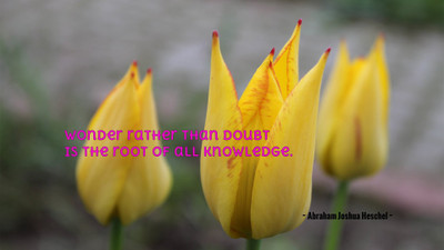 

Akhuratha aquote-quotes-knowledge-wonder-doubt Wall Poster Paper Print(12 inch X 18 inch, Rolled)
