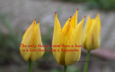 

Akhuratha aquote-quotes-lie Wall Poster Paper Print(12 inch X 18 inch, Rolled)