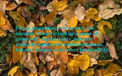 

Akhuratha aquote-quotes-humanity-relation Wall Poster Paper Print(12 inch X 18 inch, Rolled)