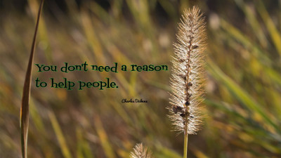 

Akhuratha aquote-quotes-reason-help Wall Poster Paper Print(12 inch X 18 inch, Rolled)