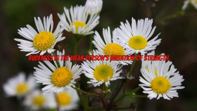 

Akhuratha a-quote-quotes-strength-rudeness-imitation Wall Poster Paper Print(12 inch X 18 inch, Rolled)