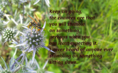 

Akhuratha a-quote-quotes-chance-expectance Wall Poster Paper Print(12 inch X 18 inch, Rolled)
