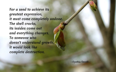 

Akhuratha a-quote-quotes-greatness-change-expression-growth Wall Poster Paper Print(12 inch X 18 inch, Rolled)