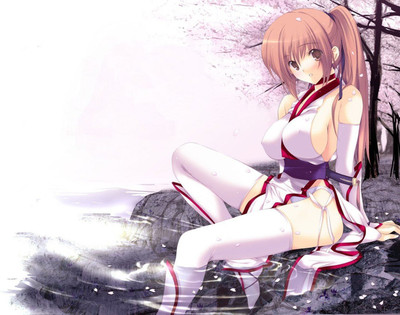 

Akhuratha Anime anime-dead-or-alive Wall Poster Paper Print(12 inch X 18 inch, Rolled)