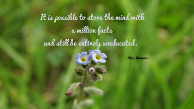 

Akhuratha a-quote-quotes-education-mind-fact Wall Poster Paper Print(12 inch X 18 inch, Rolled)