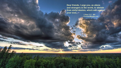 

Akhuratha acloud-field-quote Wall Poster Paper Print(12 inch X 18 inch, Rolled)