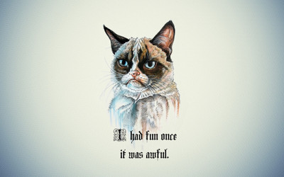 

Akhuratha grumpy-cat-quotes Wall Poster Paper Print(12 inch X 18 inch, Rolled)