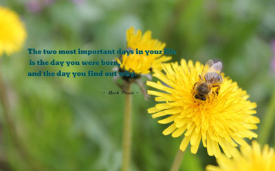 

Akhuratha aquote-quotes-importance Wall Poster Paper Print(12 inch X 18 inch, Rolled)
