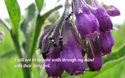 

Akhuratha aquote-quotes-mind Wall Poster Paper Print(12 inch X 18 inch, Rolled)