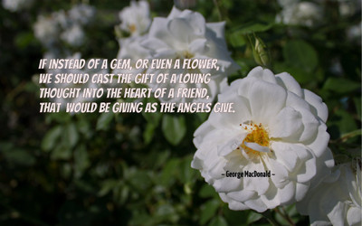 

Akhuratha aquote-quotes-angel-gift Wall Poster Paper Print(12 inch X 18 inch, Rolled)