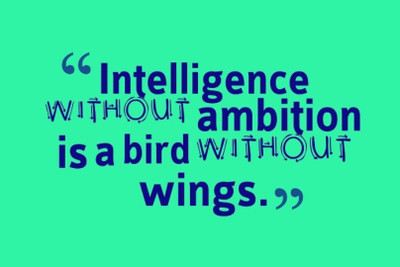 

Akhuratha Wall Poster -intelligence-without-ambition-fgkvpwbw Paper Print(18 inch X 12 inch, Rolled)