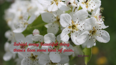 

Akhuratha aquote-quotes-beauty-pain Wall Poster Paper Print(12 inch X 18 inch, Rolled)