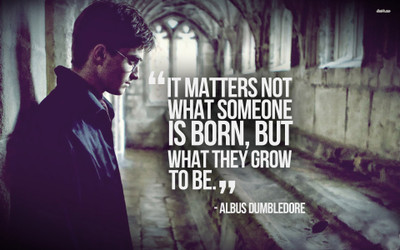 

Akhuratha aharry-potter-quote-daniel-radcliffe Wall Poster Paper Print(12 inch X 18 inch, Rolled)