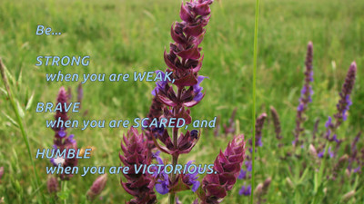

Akhuratha a-quote-quotes-strength-weakness-scare-braveness-humbleness-victory Wall Poster Paper Print(12 inch X 18 inch, Rolled)