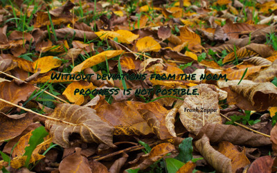 

Akhuratha aquote-quotes-progress Wall Poster Paper Print(12 inch X 18 inch, Rolled)