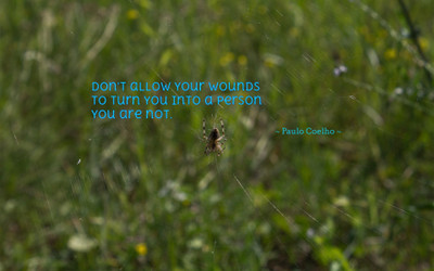 

Akhuratha aquote-quotes-wound Wall Poster Paper Print(12 inch X 18 inch, Rolled)