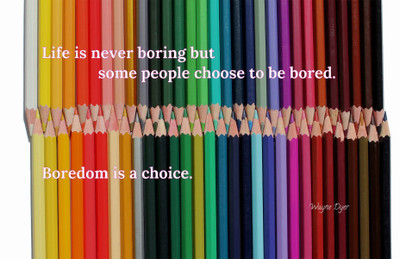 Akhuratha aquote-quotes-boredom Wall Poster Paper Print(12 inch X 18 inch, Rolled)