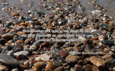 

Akhuratha aquote-quotes-stone-proverb Wall Poster Paper Print(12 inch X 18 inch, Rolled)