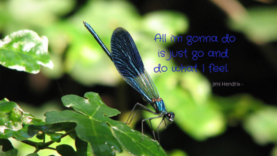 

Akhuratha aquote-quotes-feeling Wall Poster Paper Print(12 inch X 18 inch, Rolled)